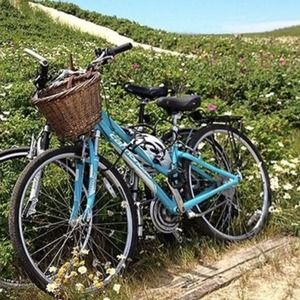 Meet your Posher, Terry